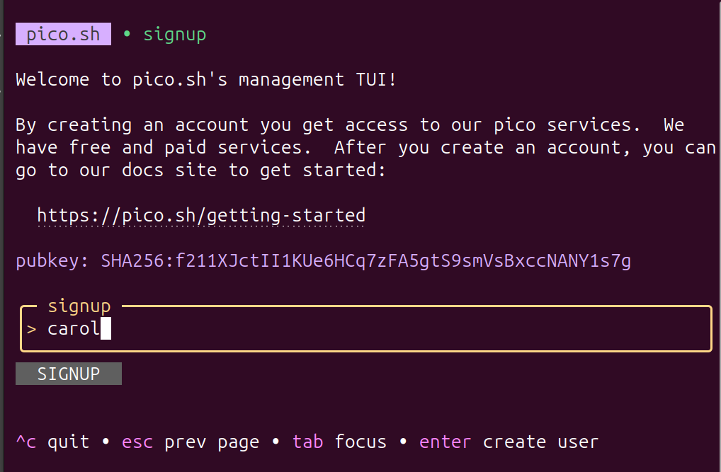 Terminal interface for pico.sh signup, showing welcome message, account creation instructions, a getting started link, the user's SSH public key fingerprint, and an input field with the username 'carol' entered.